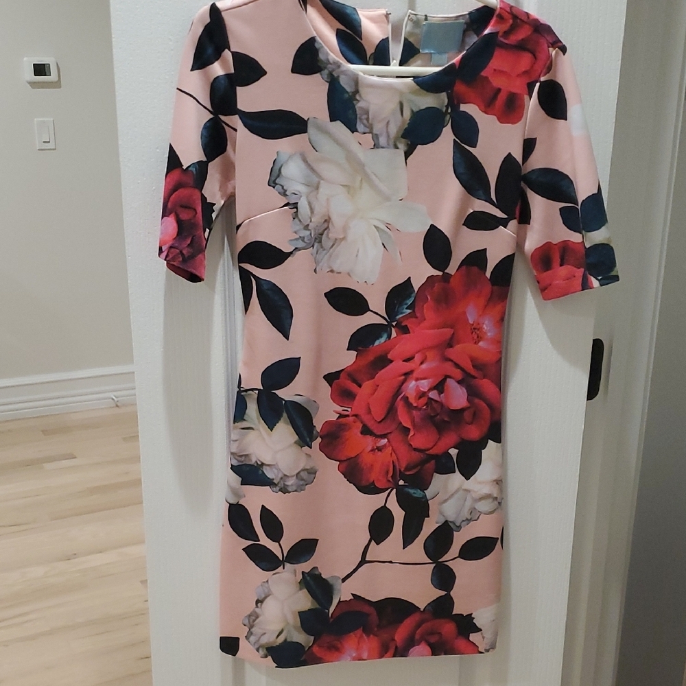 CeCe Red and Pink Sheath Dress 3/4 Sleeve Crew Neck Mini